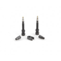 KIT VALVULAS GES - TUBELESS (40MM)