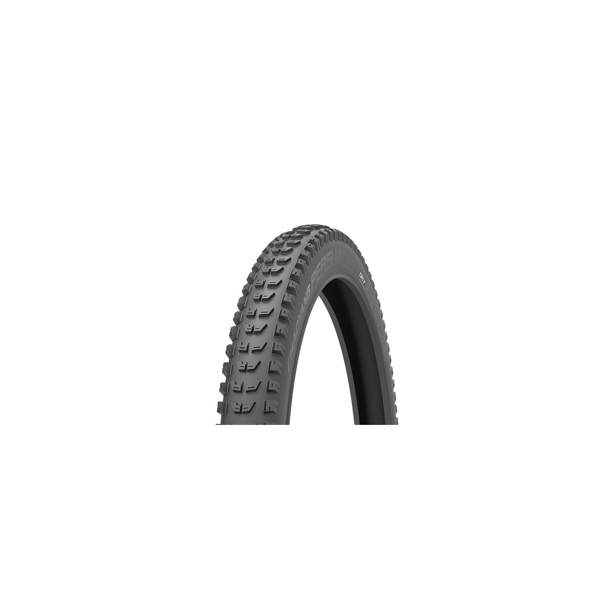 CUBIERTQA CHAOYANG - PERSUADER DRY E-BIKE 29"X2.60 TLR