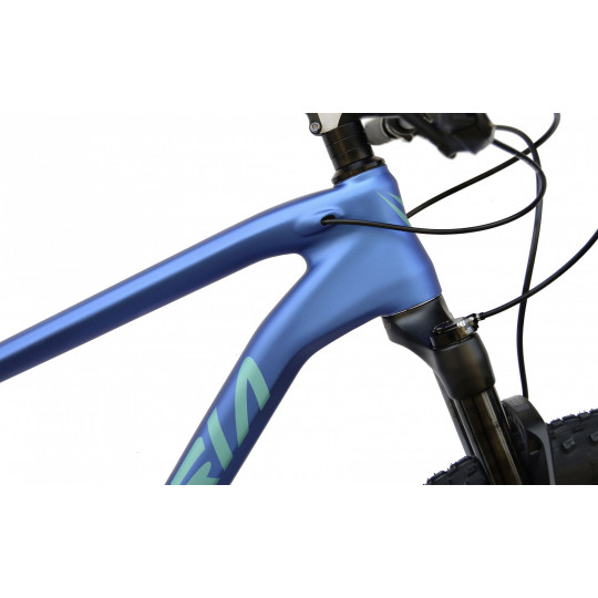 VITORIA - SIOUX EVO 29" (2021/22)