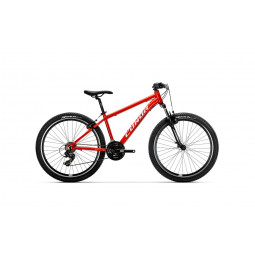 CONOR - JUNIOR 26" (2025)